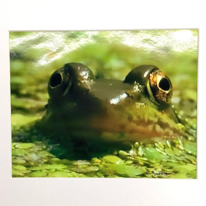 Open image in slideshow, Small Green Frog
